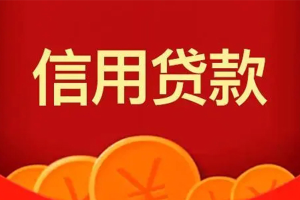 上海私借民间借贷当天下款-上海私借私借空放直接上门-上海私借个人小额贷款